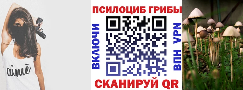 как найти наркотики  Нолинск  Псилоцибиновые грибы GOLDEN TEACHER 
